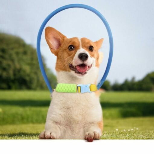 Blind Pet Anti-collision Collar Dog Guide Training Behavior Aids